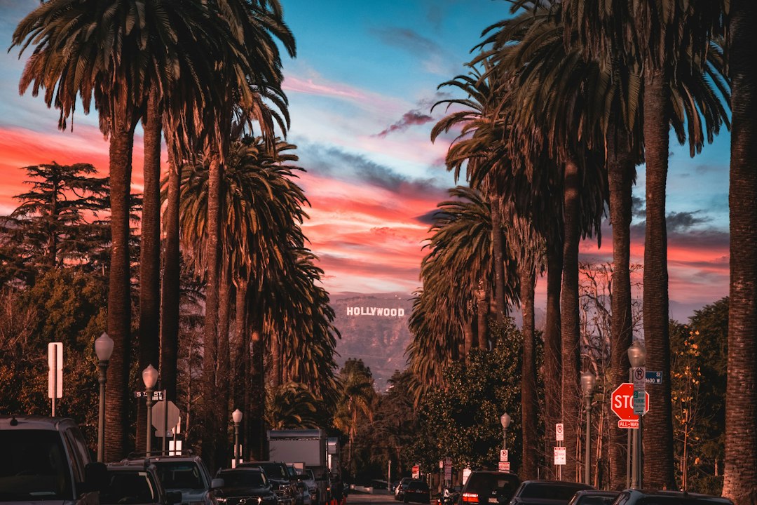 Tall palms along a city street under a colorful sunset.