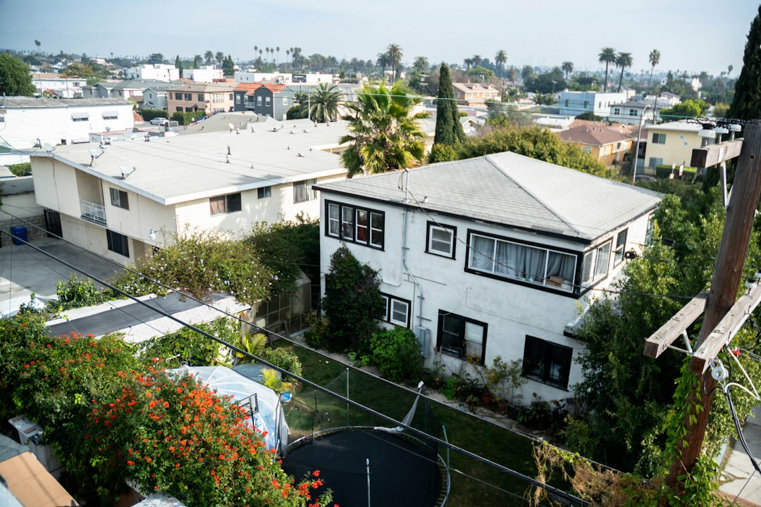 Residential houses and backyards with palms in the distance.