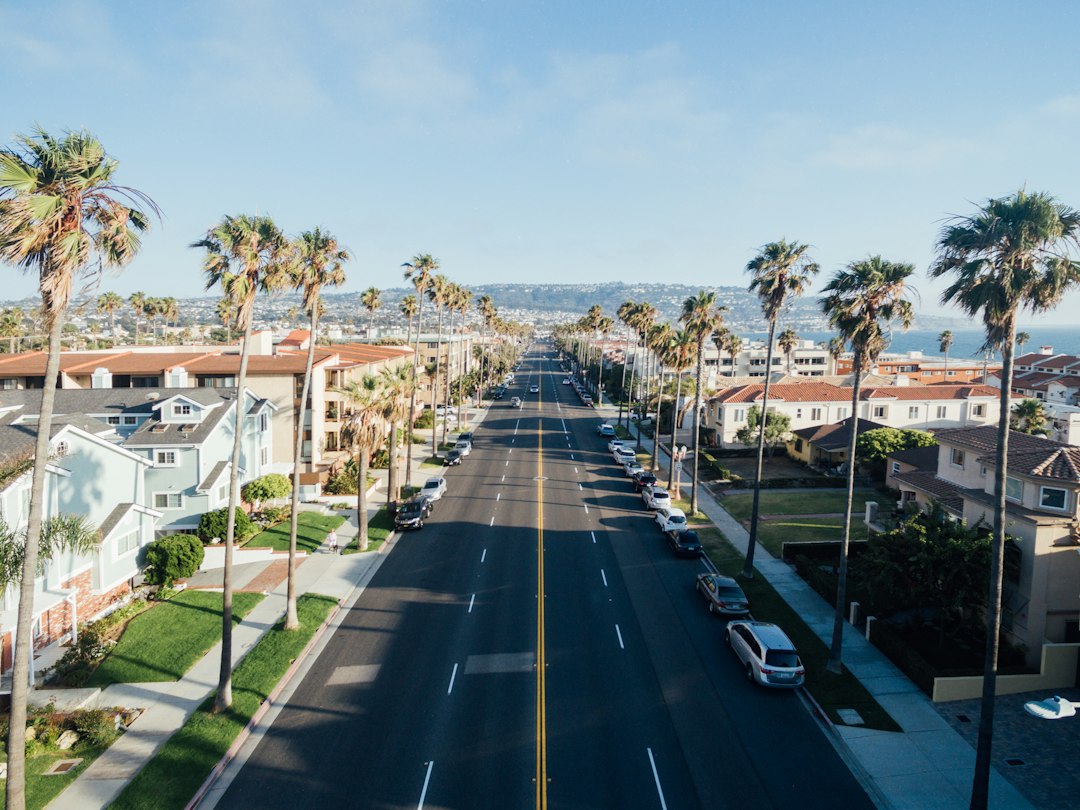 A palm-lined residential street descending toward the coast.