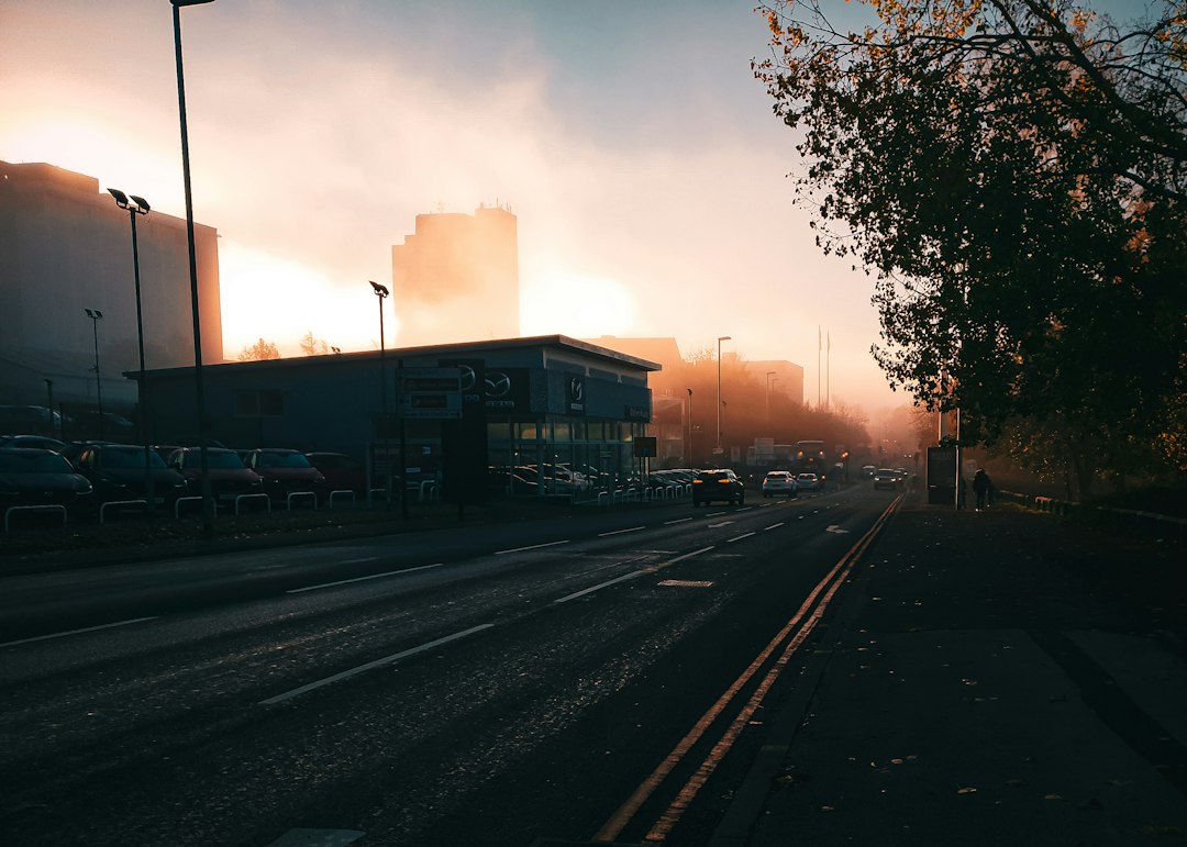 Low sunlight illuminating an urban roadway and parallel rail tracks.