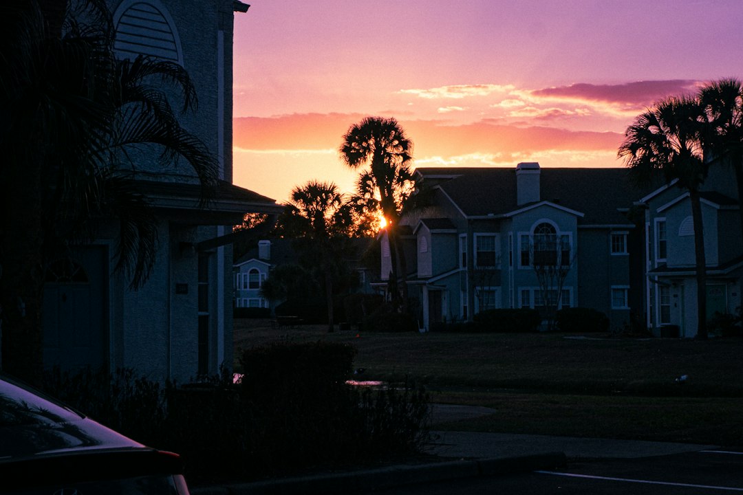 Palm trees and residential buildings silhouetted against a pink and orange sunset.