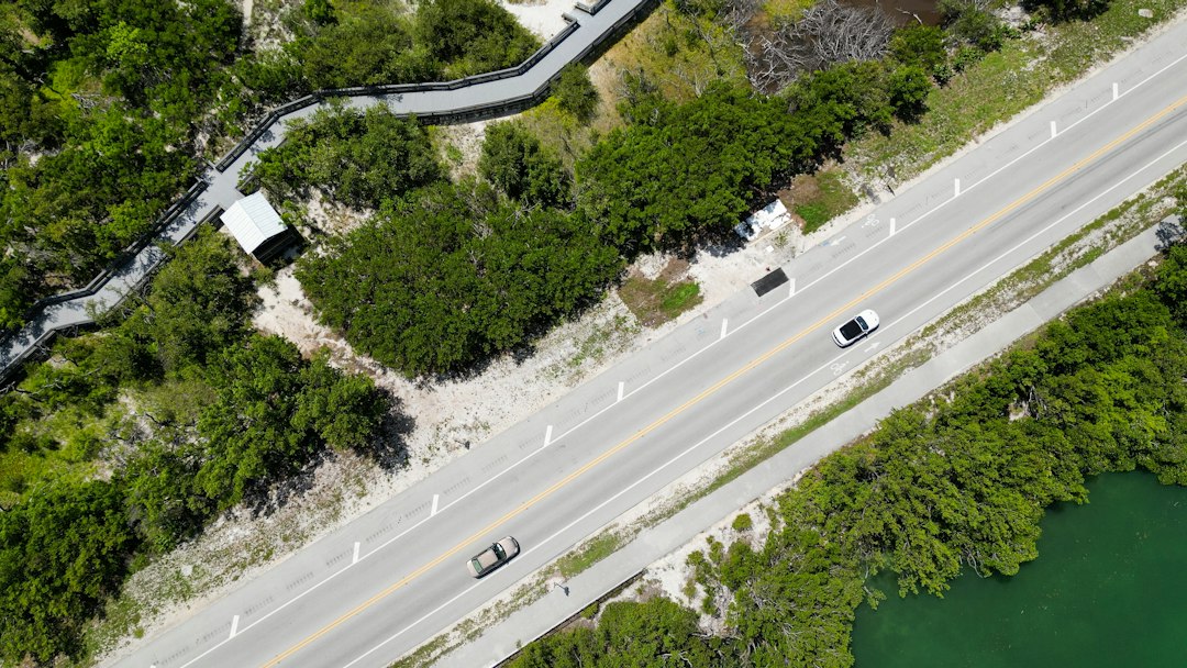Cars traveling on a highway beside green vegetation and water.