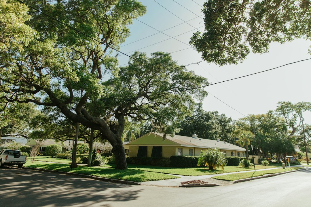 Single-story home and lawn shaded by mature trees beside a neighborhood road.