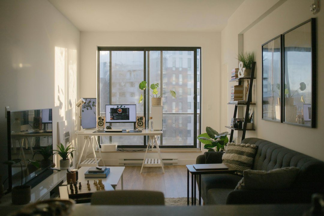 Apartment living room and home office with a dark sofa, plants, and a desk beside the window