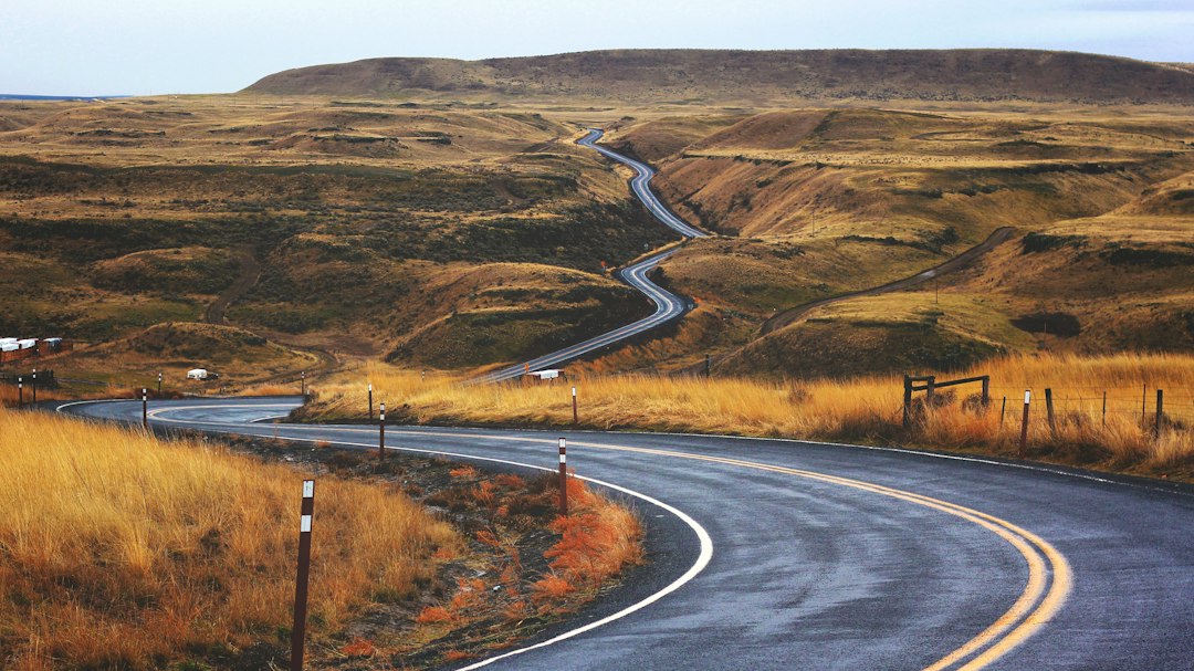 Winding two-lane road crossing golden hills