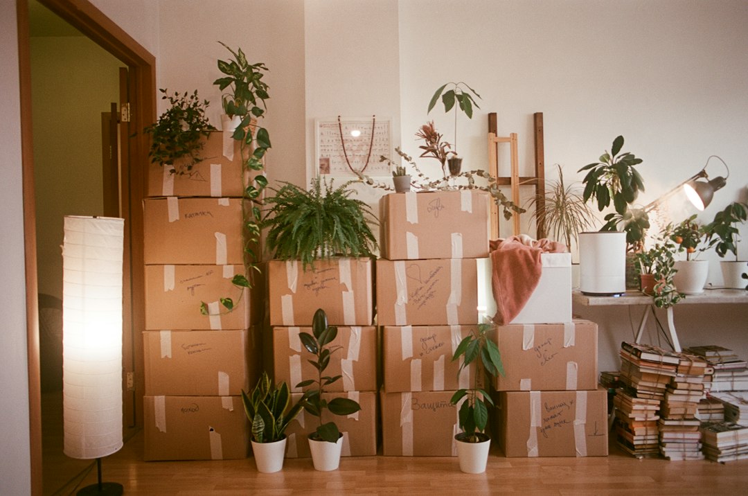 Taped cartons, houseplants and furniture in a packed room