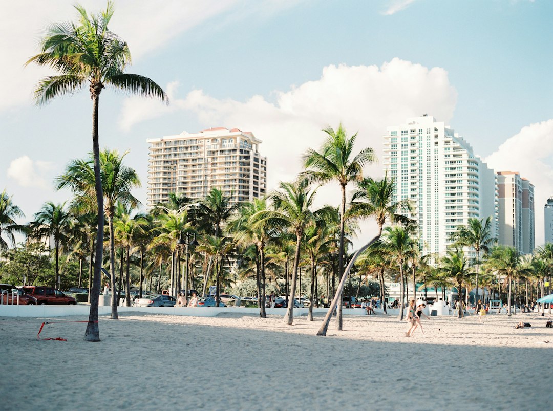 Palm trees and beachfront apartment buildings beneath a bright cloudy sky