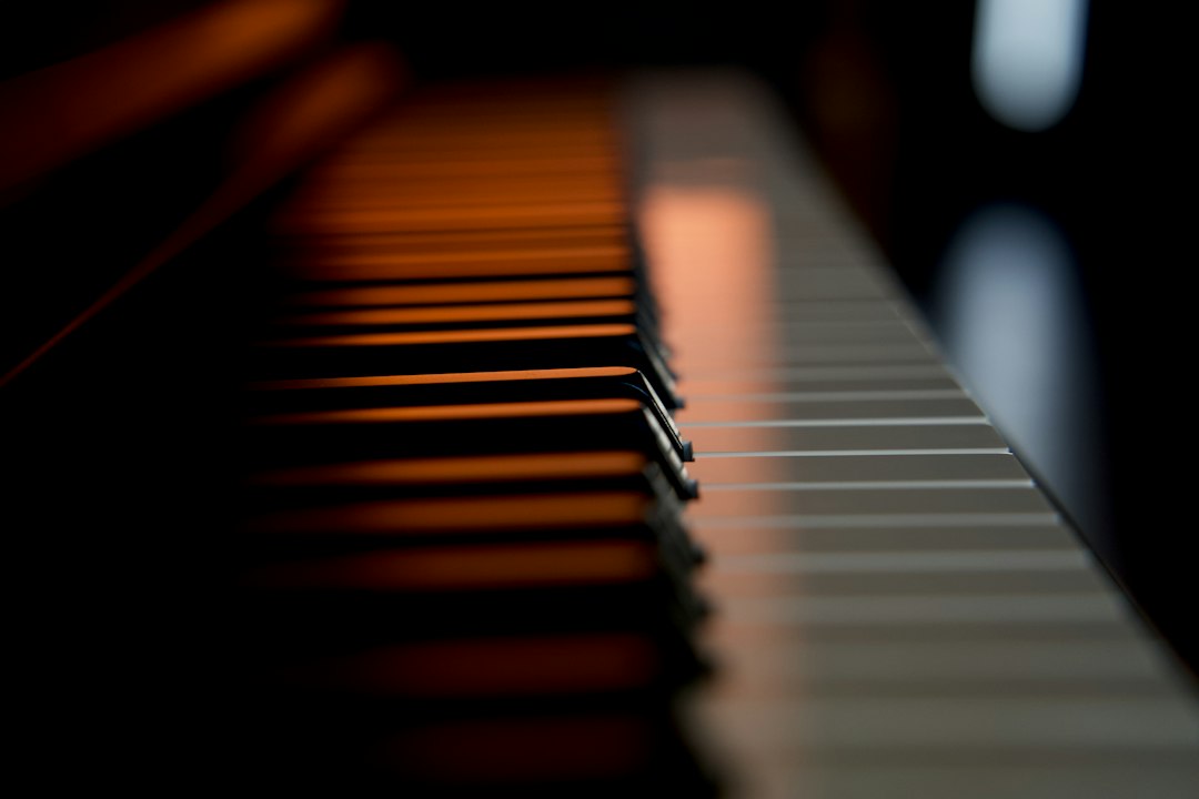 Piano keys photographed at an angle in warm evening light.