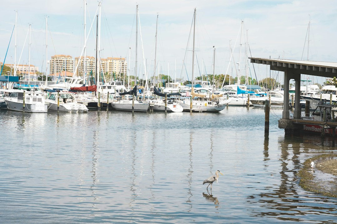 Sailboats moored at a marina beside waterfront apartment buildings